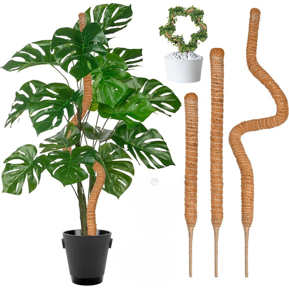 Sphagnum Moss Dry - 30-100cm Bendable Plants Climbing Support Moss