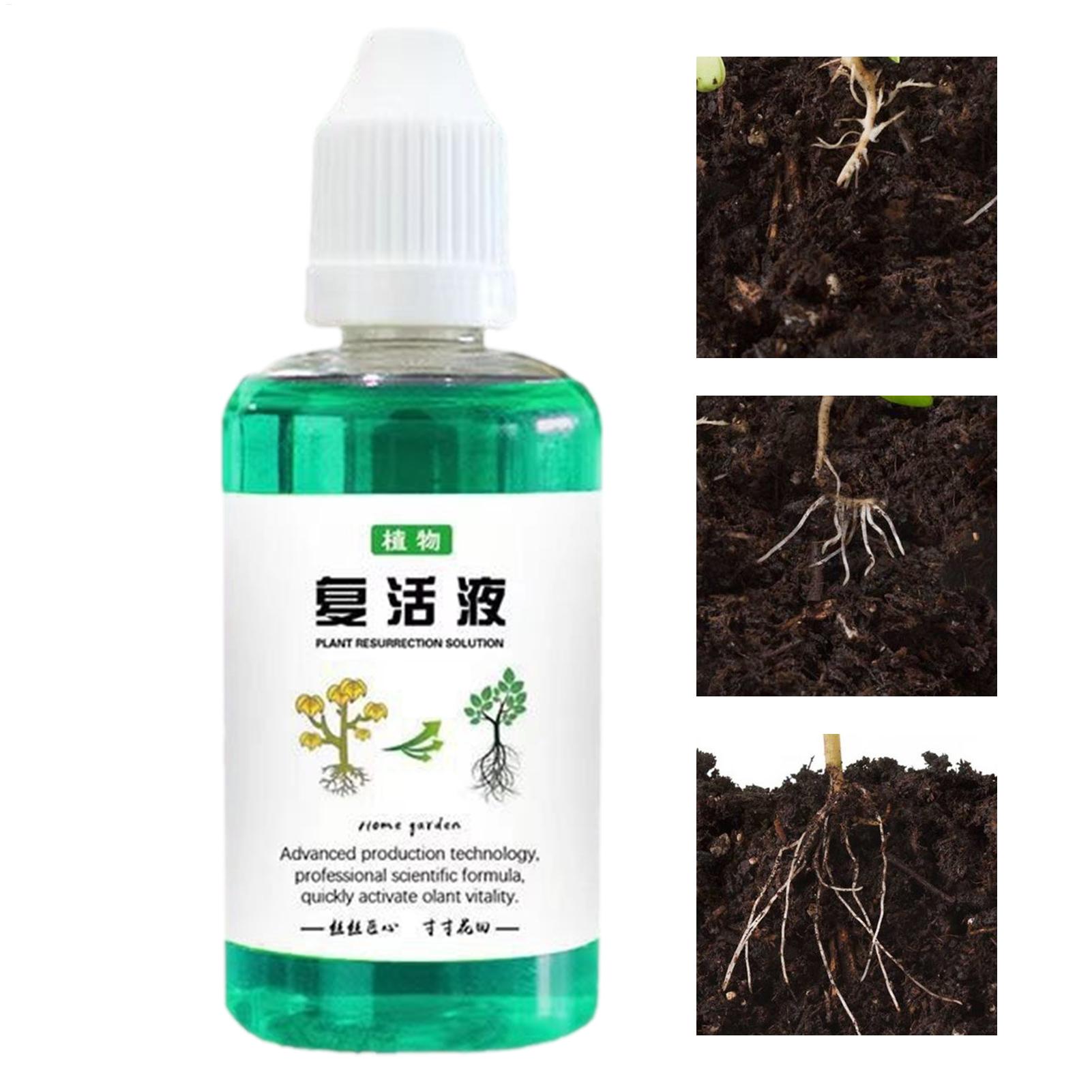 50ml Root Stimulator Plant Res - Root Stimulator Liquid recension och pris