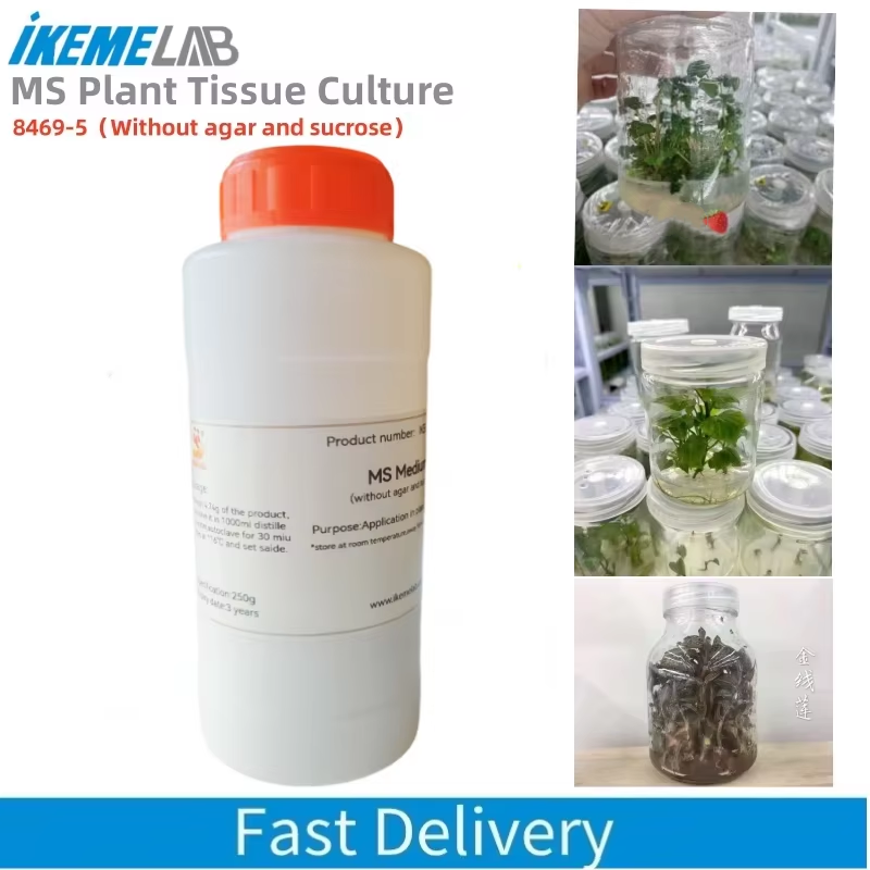 IKEME 250g Lab MS Medium Witho - Agar Tissue Culture recension och pris