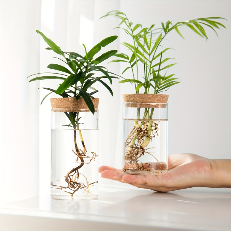 1pc, Hydroponics Plants Deskto - Propagation Station Vase recension och pris