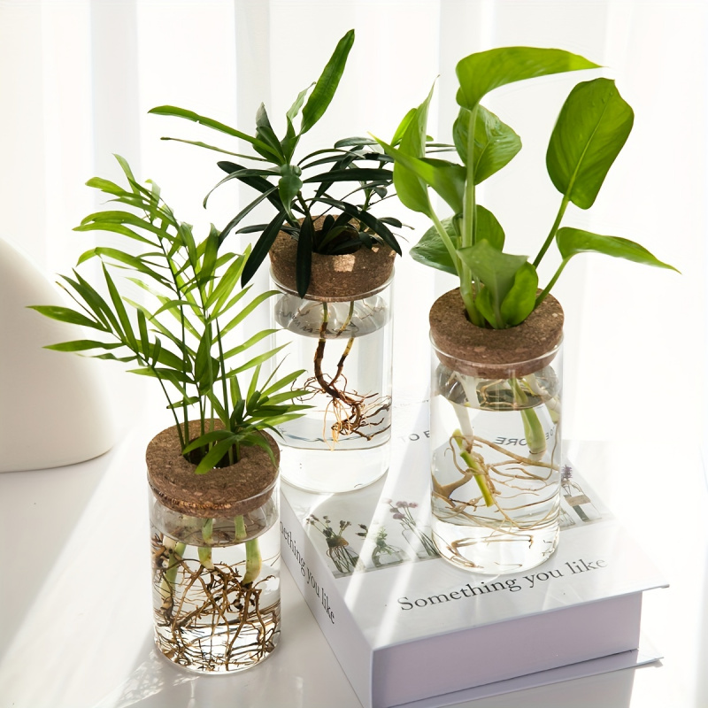 1pc, Hydroponics Plants Deskto - Propagation Station Vase recension och pris
