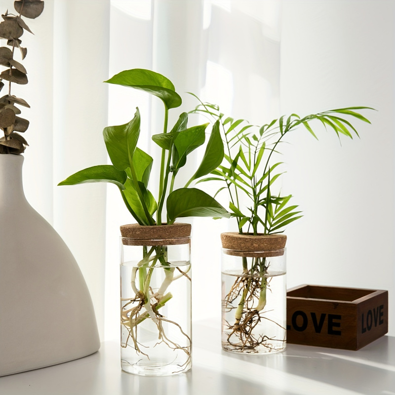 1pc, Hydroponics Plants Deskto - Propagation Station Vase recension och pris
