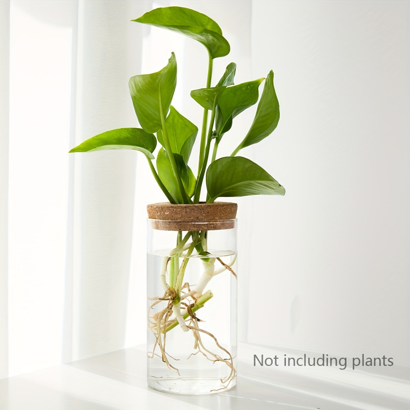 1pc, Hydroponics Plants Deskto - Propagation Station Vase recension och pris