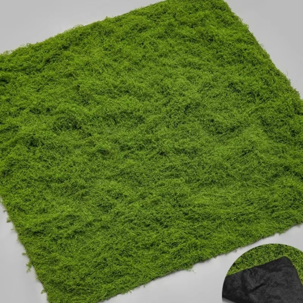 DIY Artificial Grass Rug Durab - Sphagnum Moss Dry recension och pris