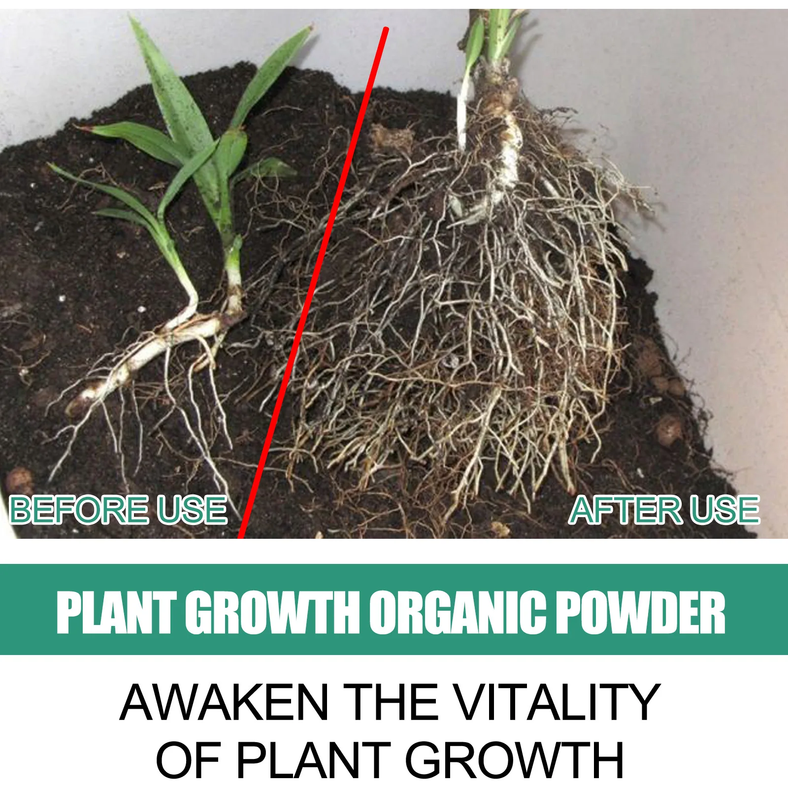 Fast Rooting Powder Plant Soil - Rooting Hormone Powder recension och pris