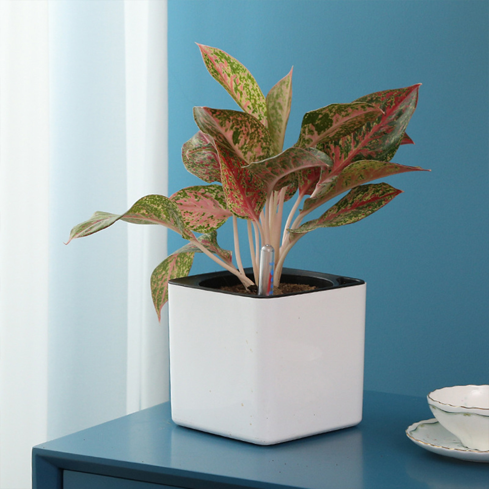 3 size Lazy flowerpot Green Pl - Self Watering Insert recension och pris