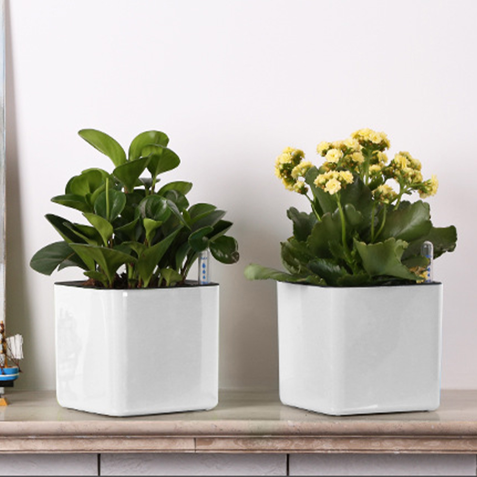 3 size Lazy flowerpot Green Pl - Self Watering Insert recension och pris