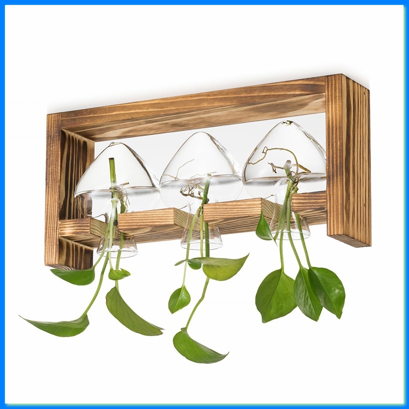 Glass Propagation Station for  - Propagation Station Vase recension och pris