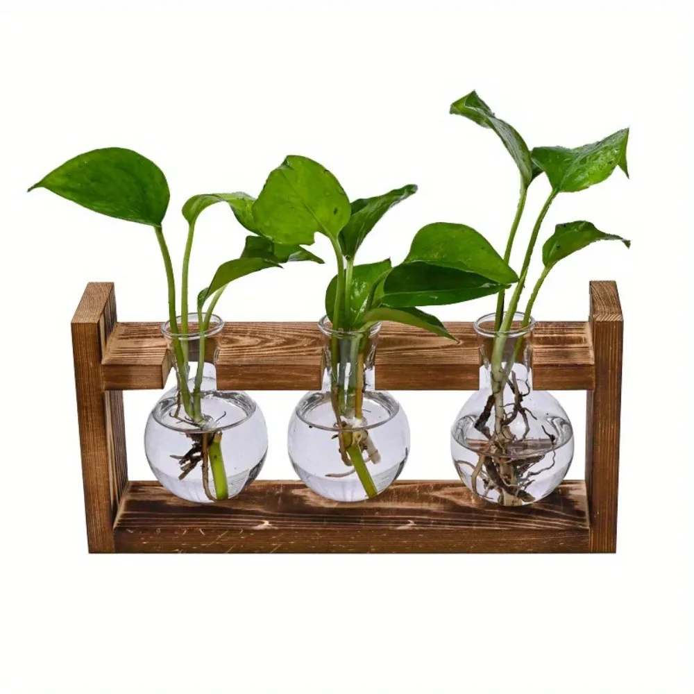 Tabletop Glass Planter Propaga - Propagation Station Vase recension och pris