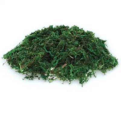 1Pack Natural-Looking Fake Mos - Sphagnum Moss Dry recension och pris