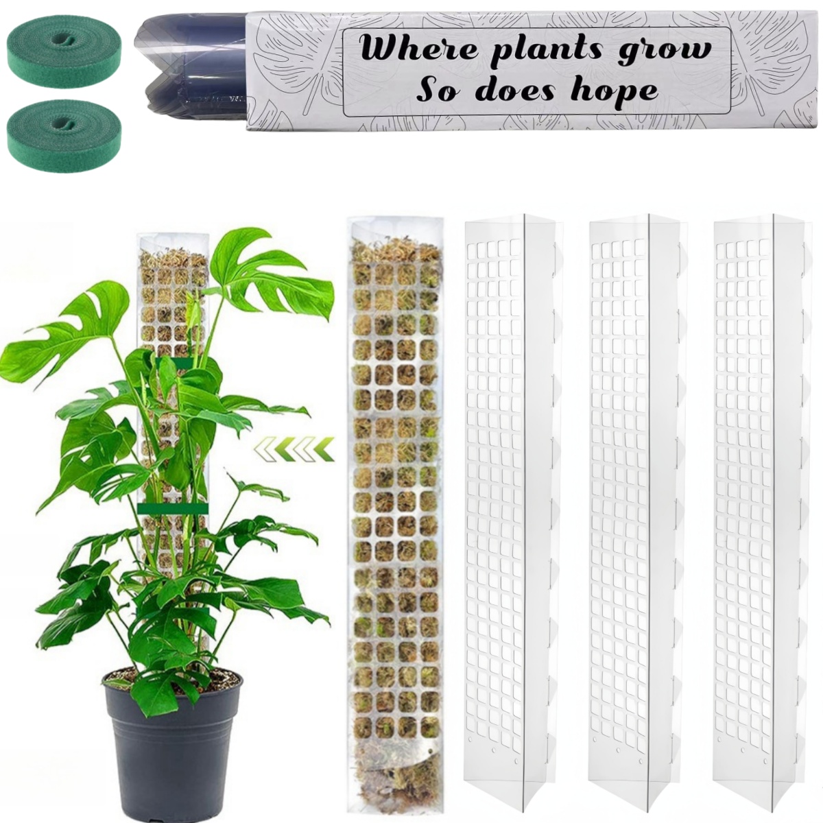 Moss Pole Plastic Plant Stand  - Sphagnum Moss Dry recension och pris