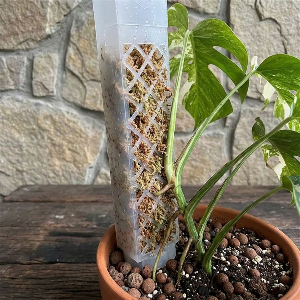 D-Shaped Self-Watering Plant D - Sphagnum Moss Dry recension och pris