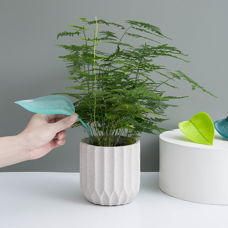 Creative Potted Foliage Divers - Self Watering Insert recension och pris