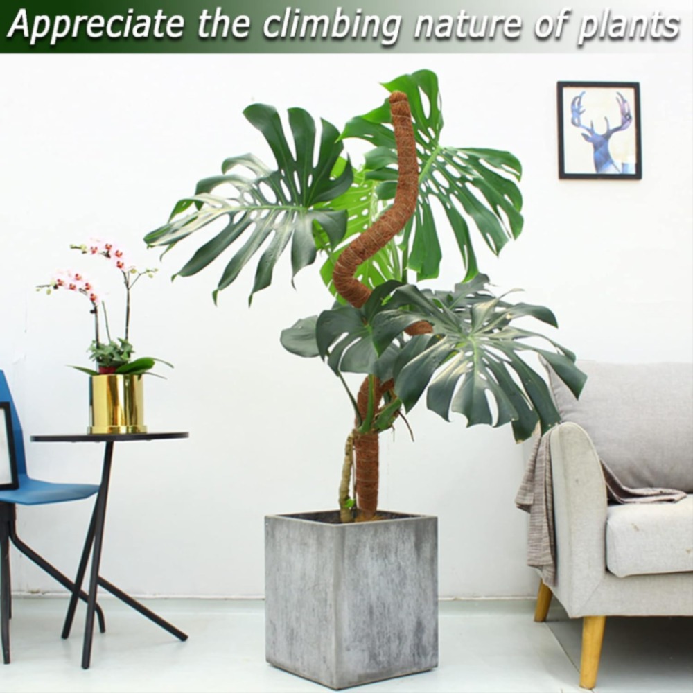 30-100cm Bendable Plants Climb - Sphagnum Moss Dry recension och pris