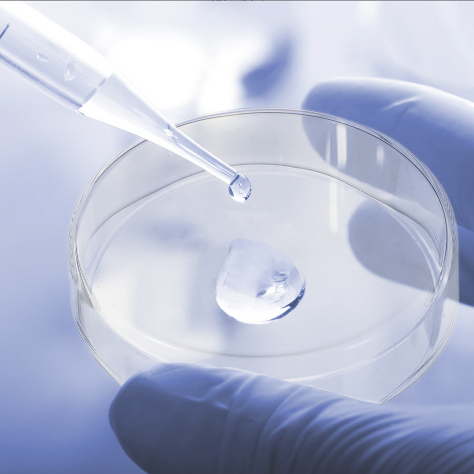 1Set Thickened Glass Petri Dis - Agar Tissue Culture recension och pris