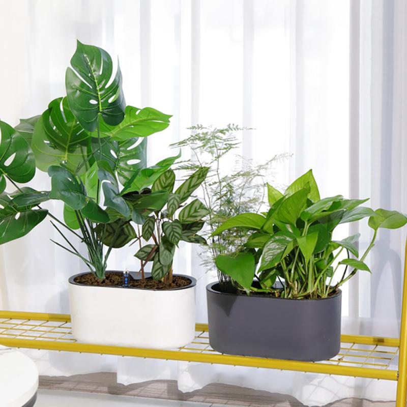 Indoor Plant With Indicator Wo - Self Watering Insert recension och pris