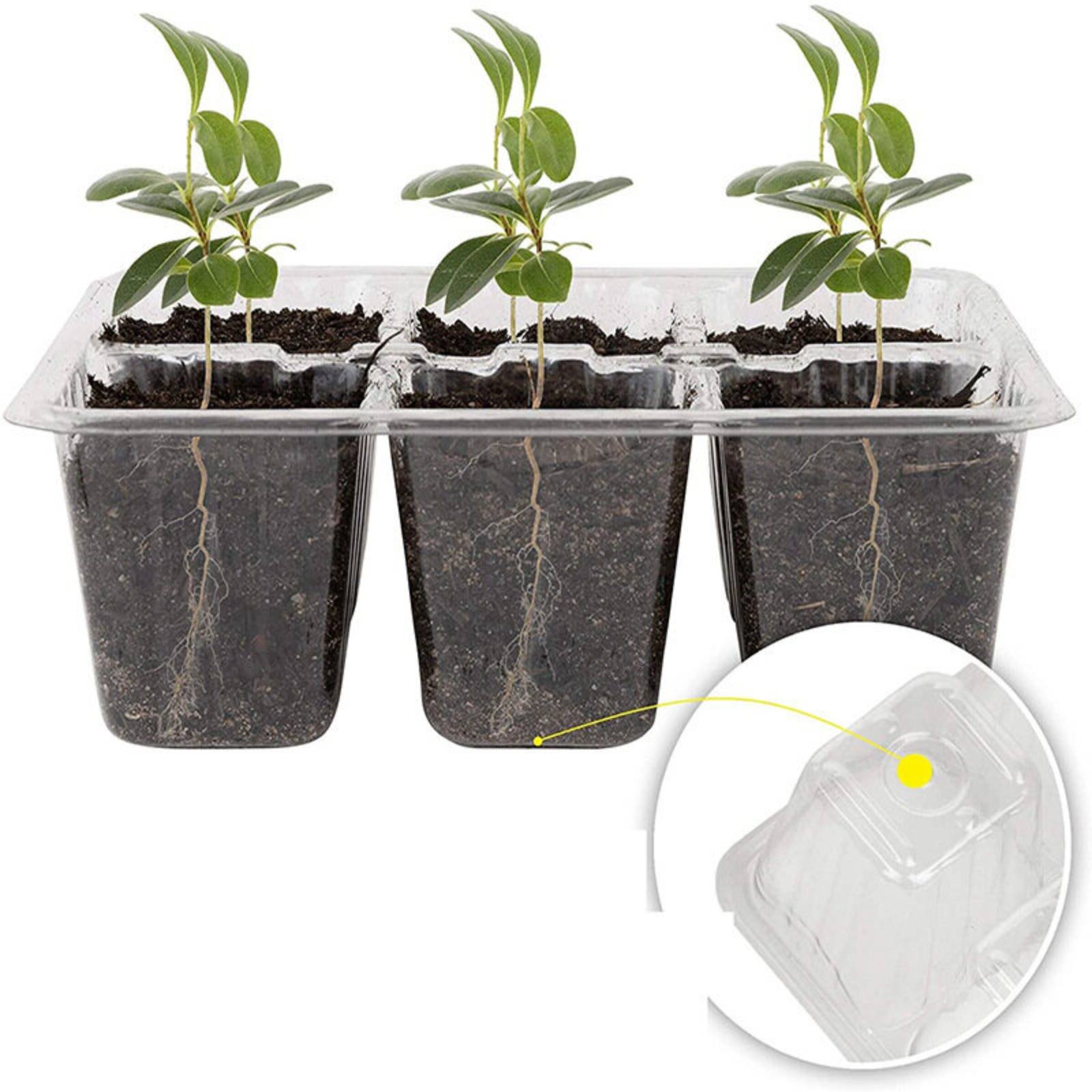 12 Compartment Germination Tra - Humidity Dome Kit recension och pris
