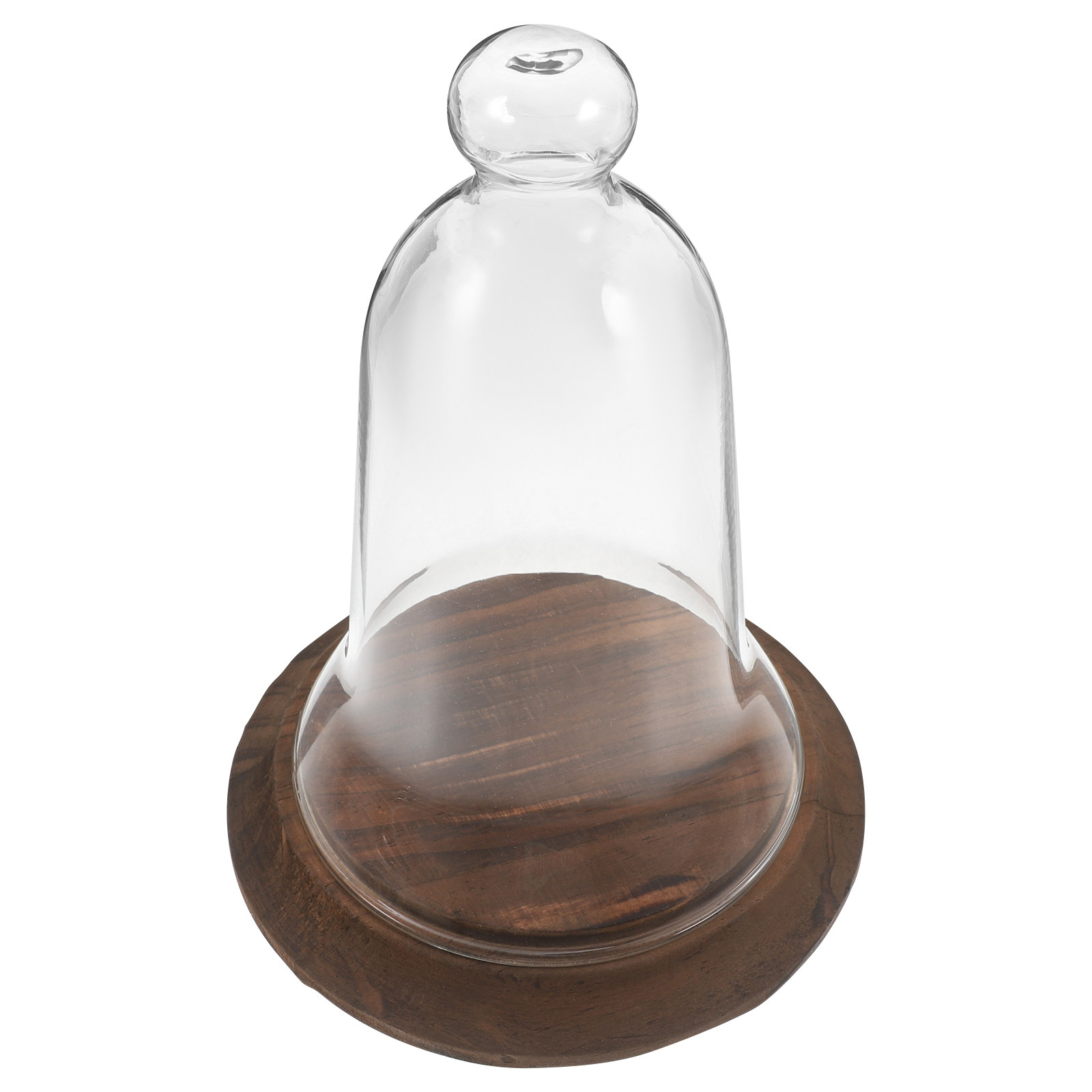 Clear Glass Cloche Dome High B - Plastic Dome Clear recension och pris