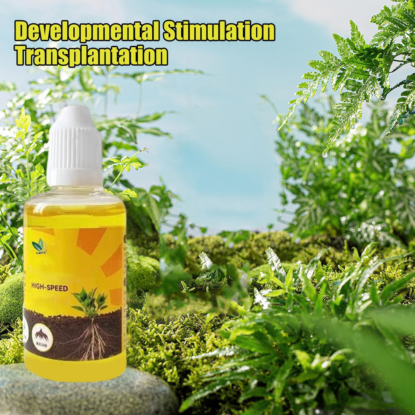 50ml Plant Rooting Stimulator  - Rooting Hormone Powder recension och pris