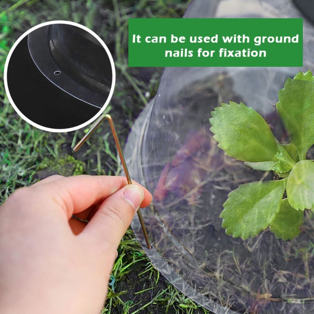 Reusable Clear Plastic Seedlin - Plastic Dome Clear recension och pris