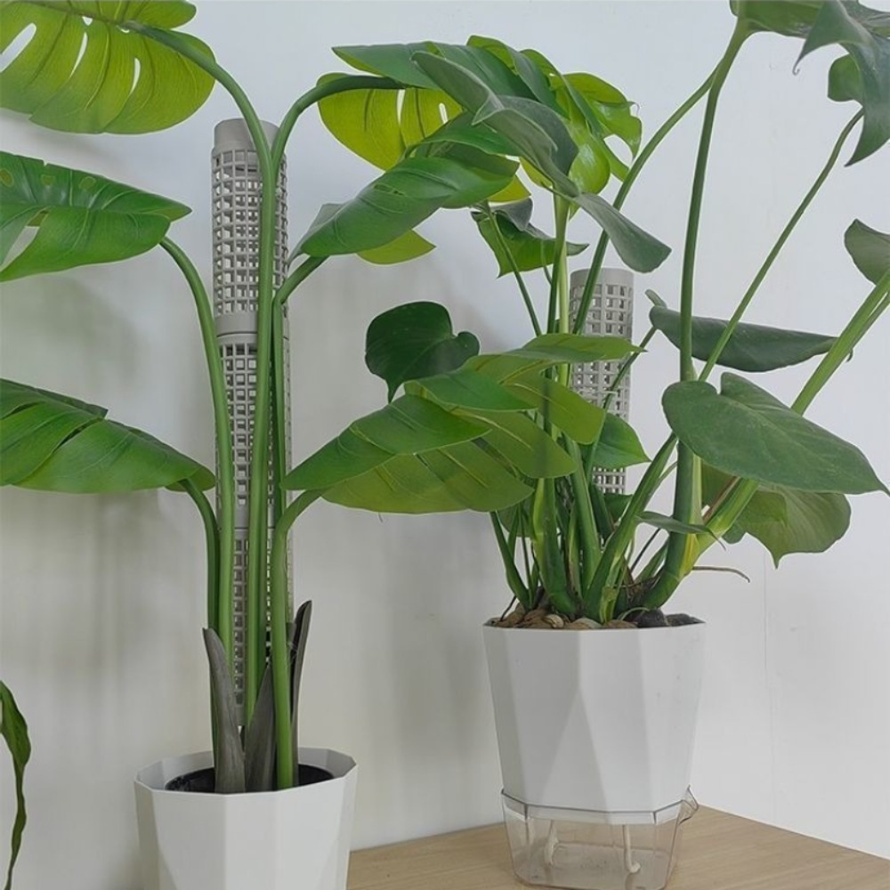 6-Pack Stackable Plant Moss Po - Sphagnum Moss Dry recension och pris