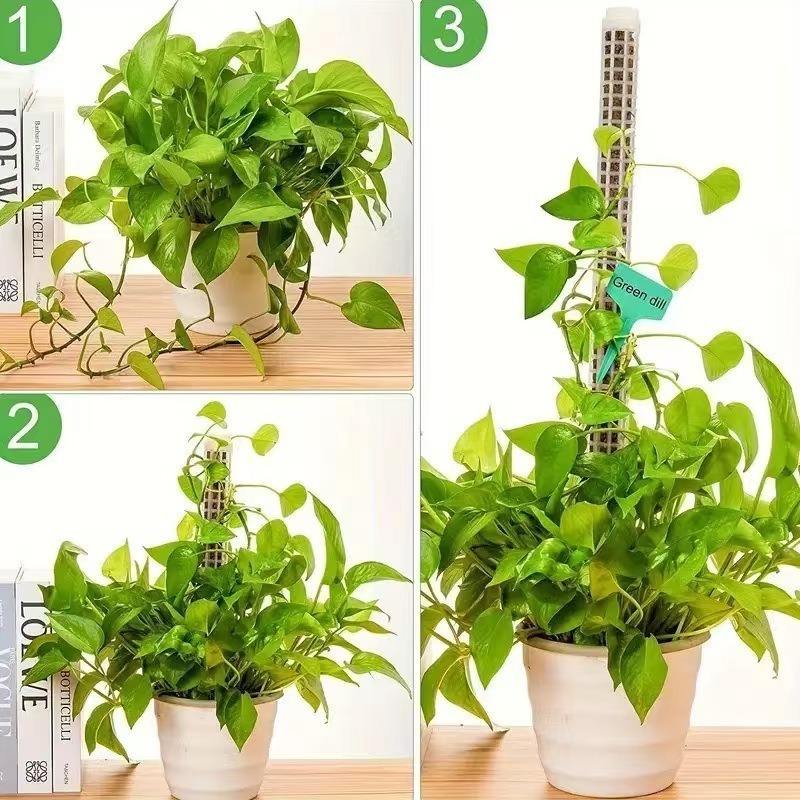 1/2/3pcs Self-watering Moss Po - Sphagnum Moss Dry recension och pris