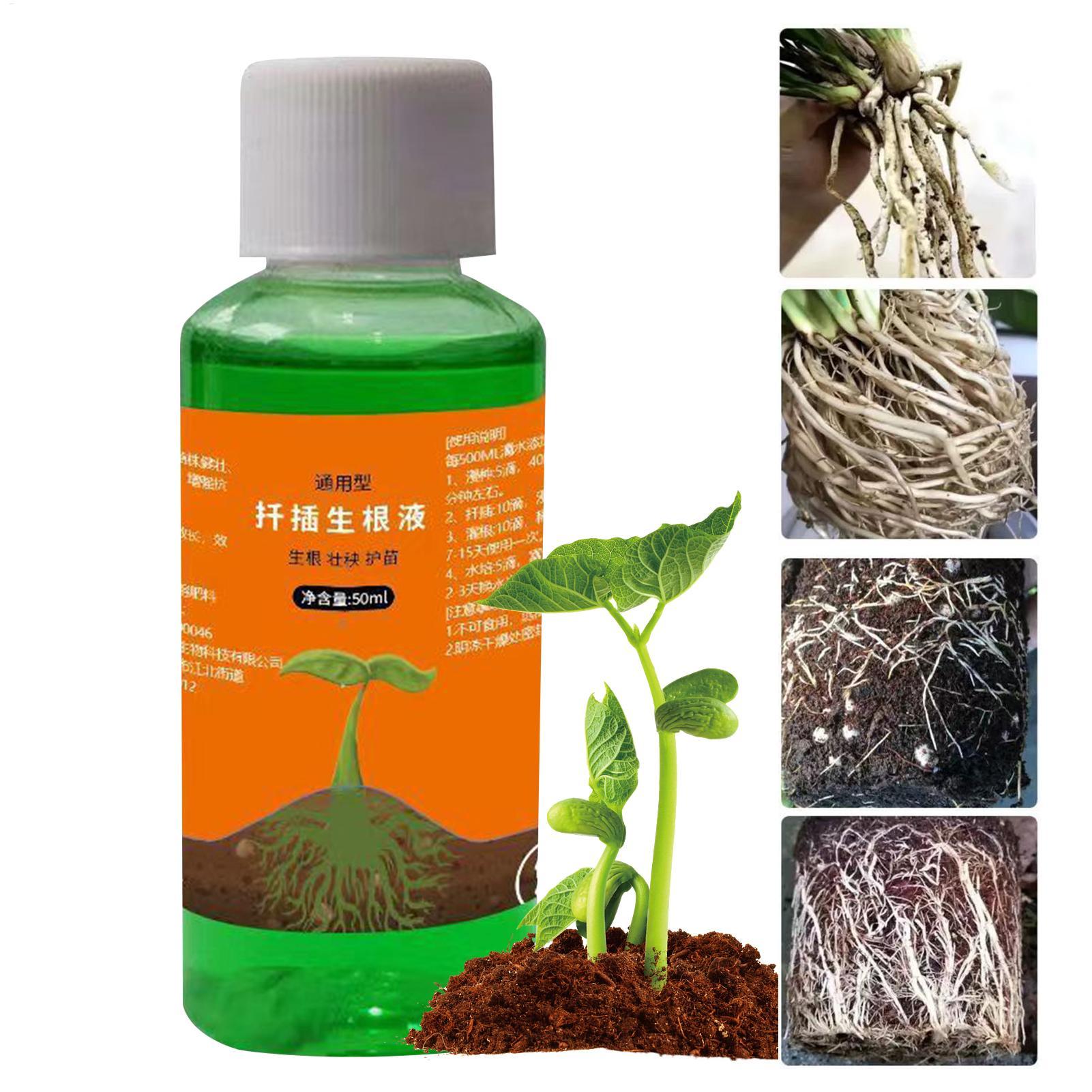 50ml Transplanting Nutrient So - Root Stimulator Liquid recension och pris