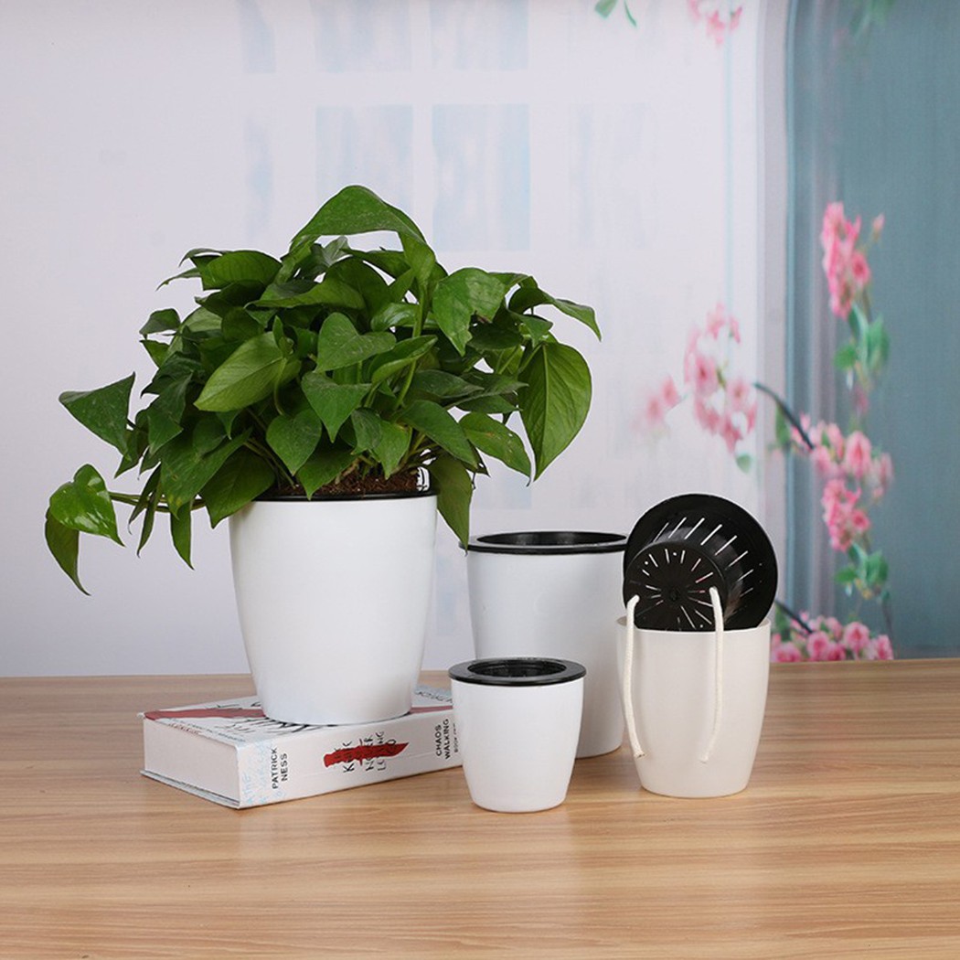 Automatic Watering Flower Plan - Self Watering Insert recension och pris