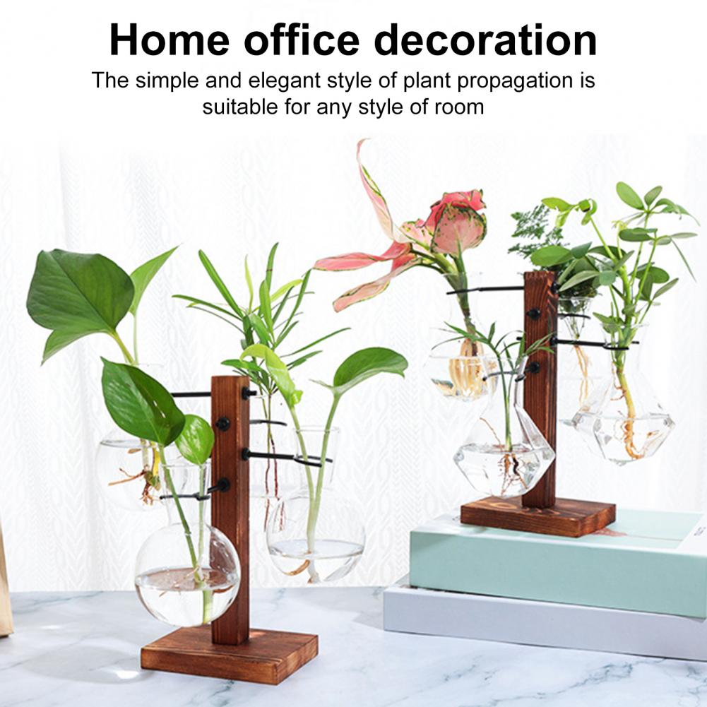 1 Set 10*25cm Plants Propagati - Propagation Station Vase recension och pris