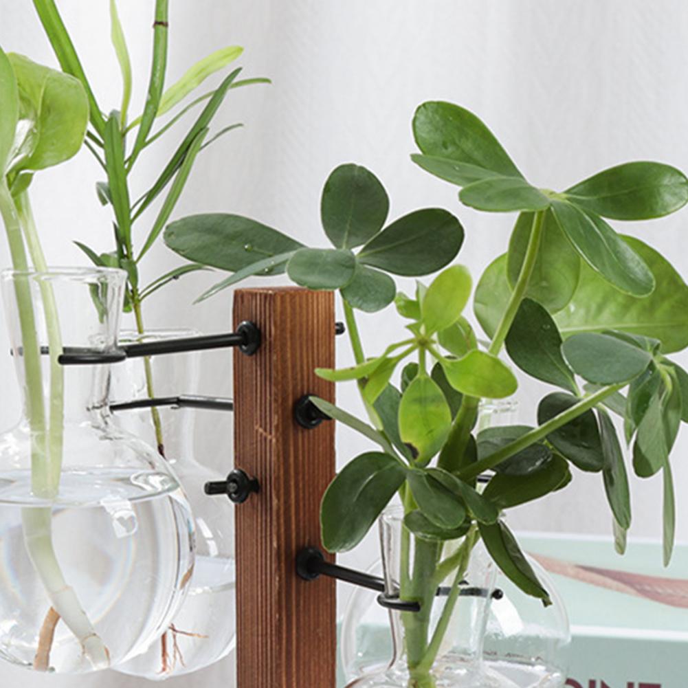 1 Set 10*25cm Plants Propagati - Propagation Station Vase recension och pris