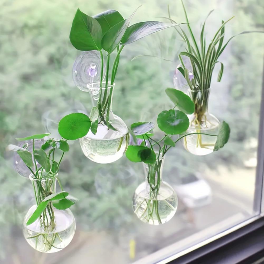 1/2/3/4/6/8Pcs Plant Propagati - Propagation Station Vase recension och pris