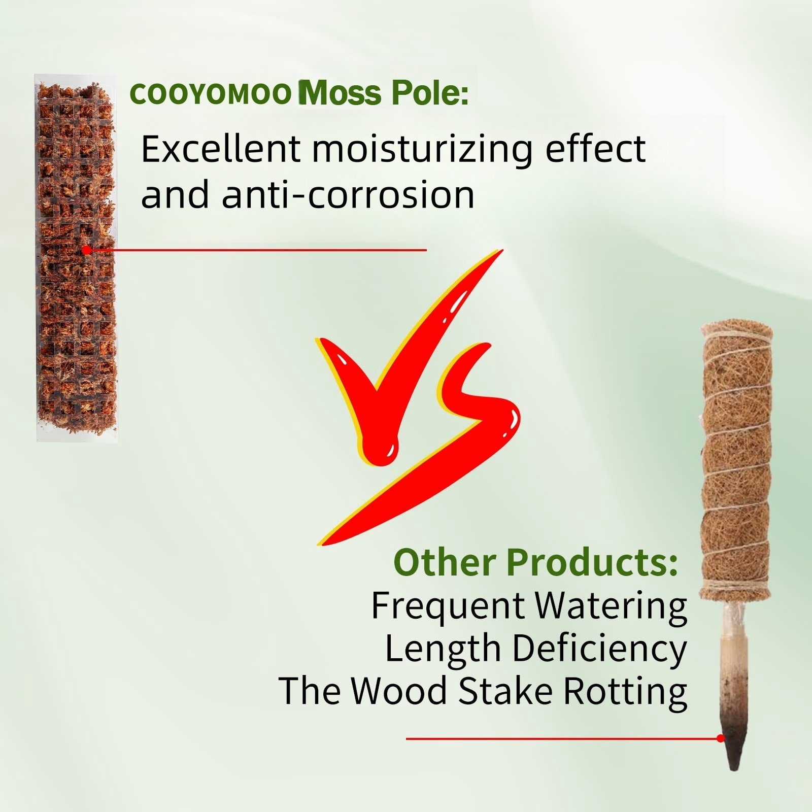 Plastic Moss Pole,24in/36in/48 - Sphagnum Moss Dry recension och pris