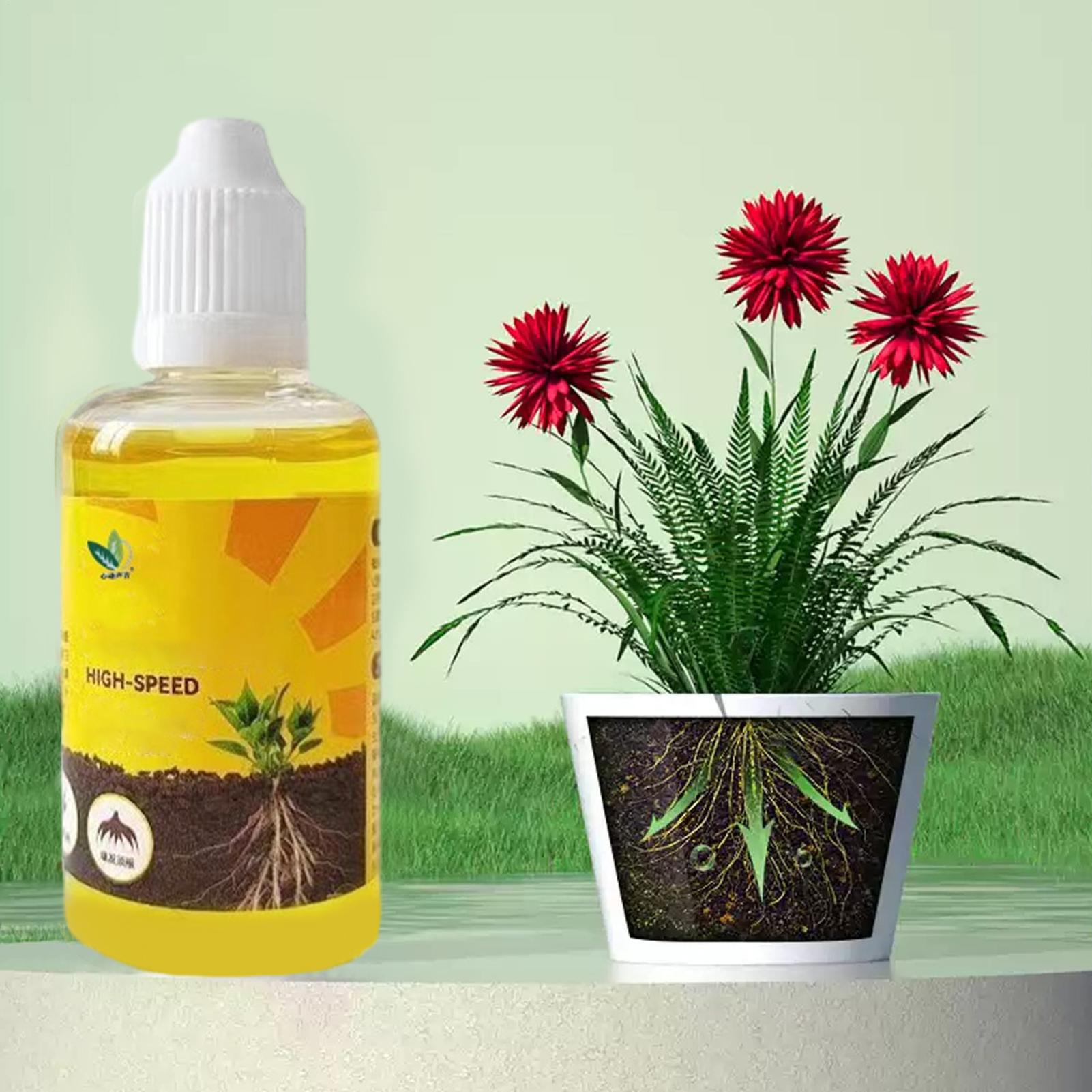 Plant Rapid Rooting Solution 5 - Root Stimulator Liquid recension och pris