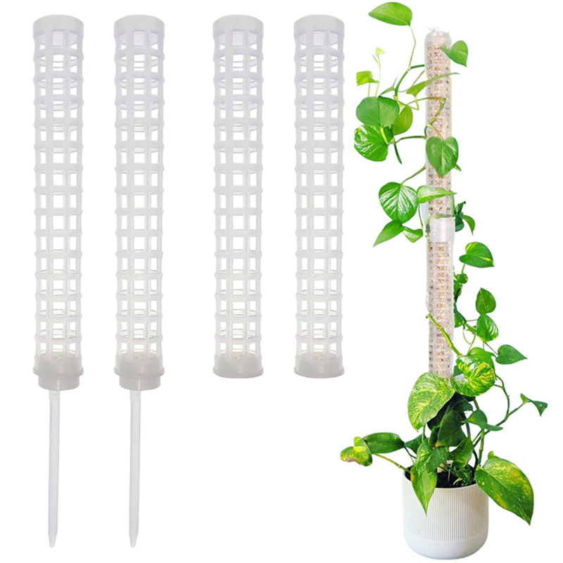 Plant Climbing Column Sphagnum - Sphagnum Moss Dry recension och pris