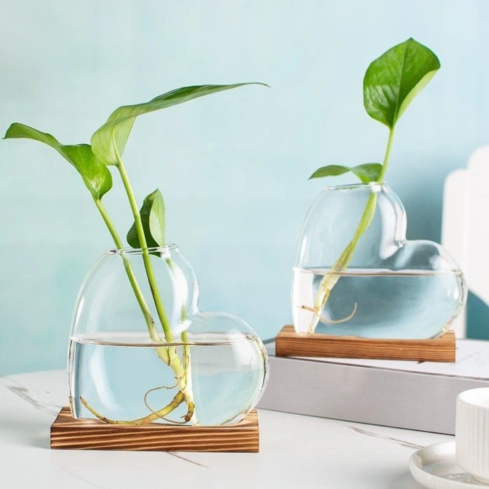 Transparent Hydroponic Glass V - Propagation Station Vase recension och pris
