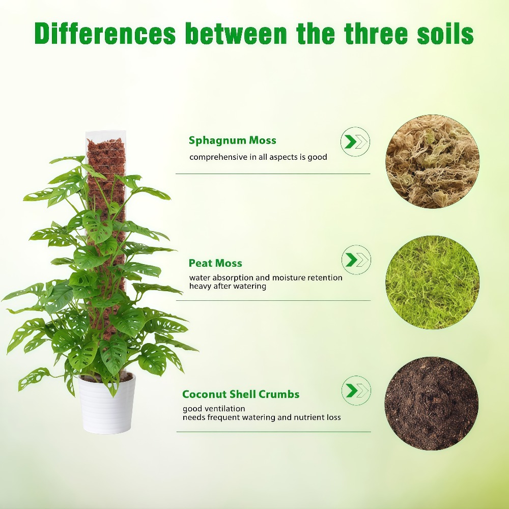 Moss Pole Plastic Plant Stand  - Sphagnum Moss Dry recension och pris